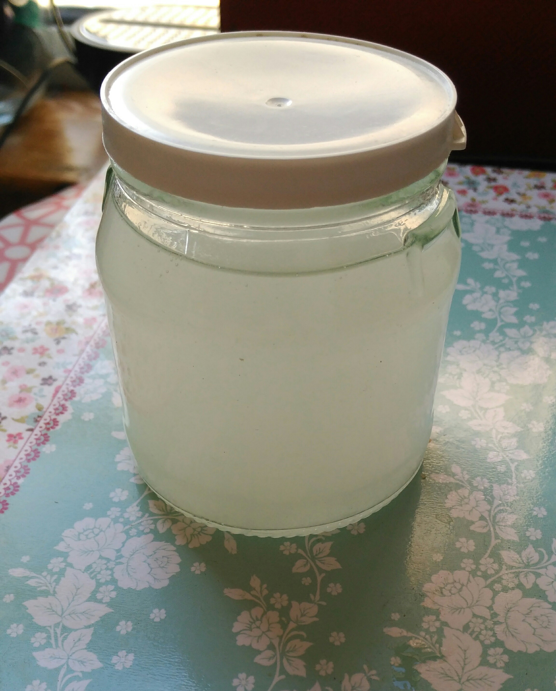 Homemade Fluoride Free Toothpaste